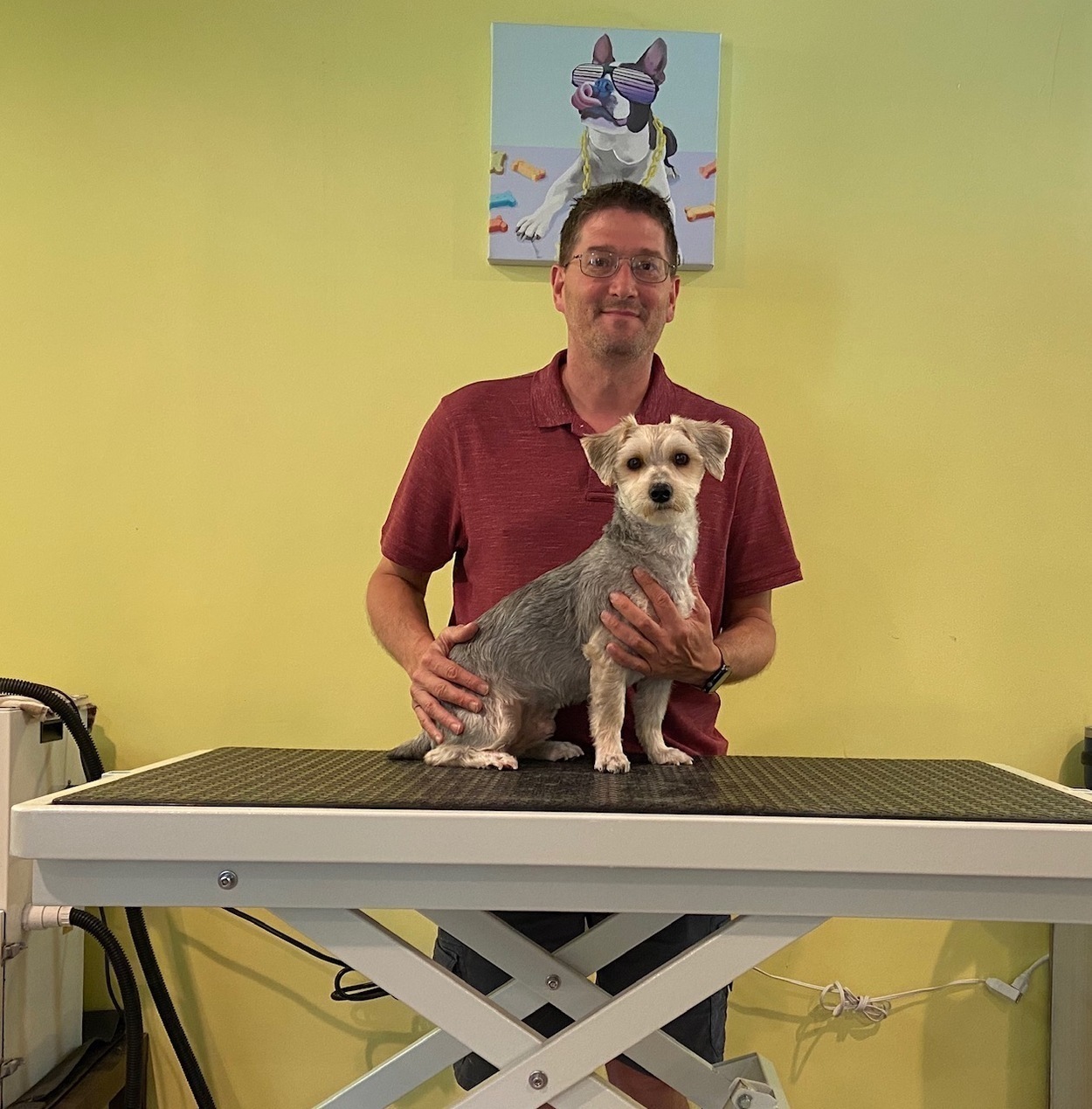 Rodney, Owner & Groomer at Paws Up Pet Grooming in Normal, IL